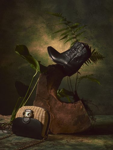 Numéro 212 / Objets de désir