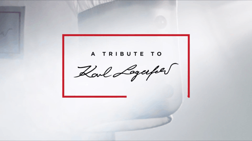 Karl Lagerfeld / White Shirt