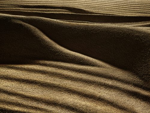 Lula / Beauty Matter