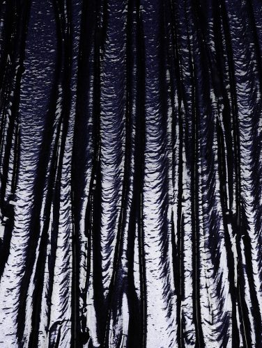 Lula / Beauty Matter