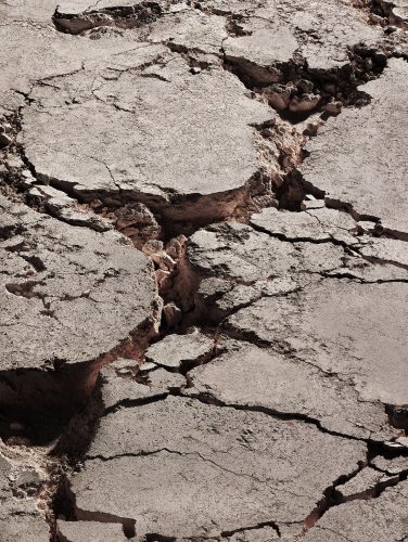 Lula / Beauty Matter